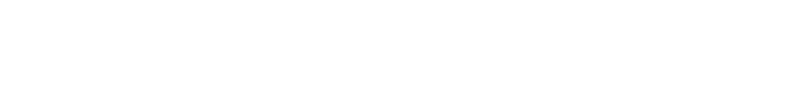 Fitzner Corporate